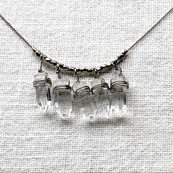 Meet your Posher, Echo - Picture 5 of 6